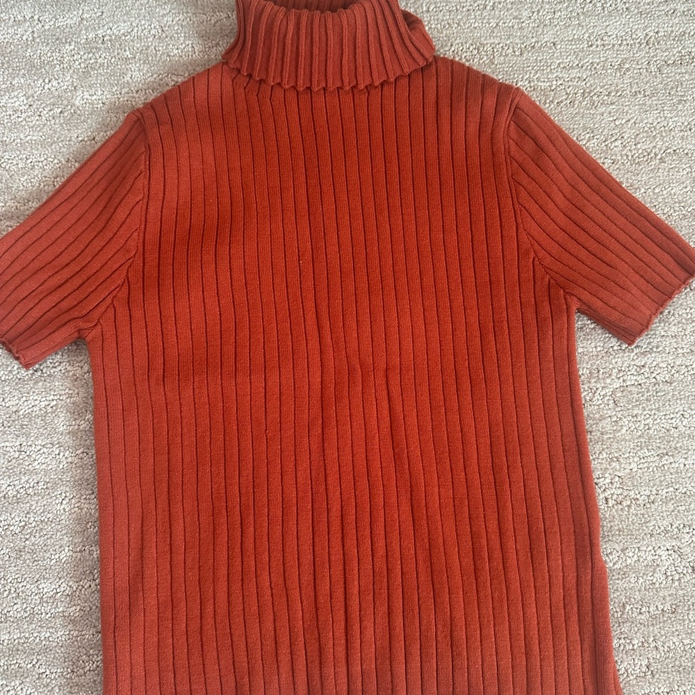 Pink Lily Rust Ribbed Turtleneck